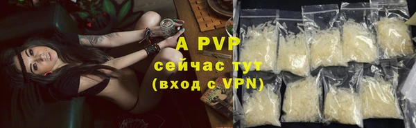 стаф Заводоуковск