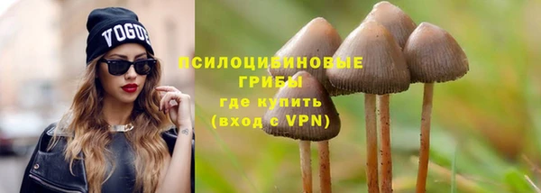 не бодяженный Карпинск